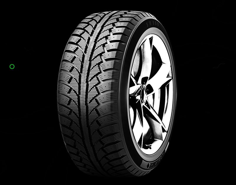 SGoodride 205/55R16 92T SW606 TL